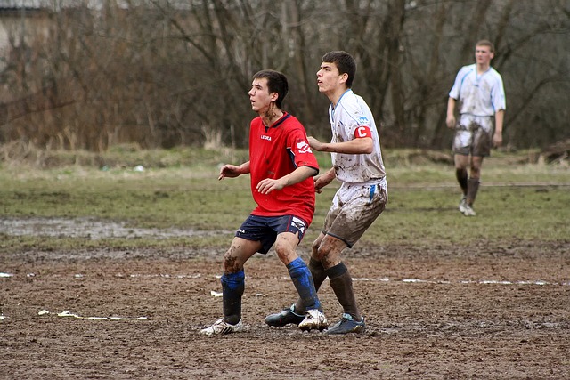 战胜芝加哥 战胜芝加哥