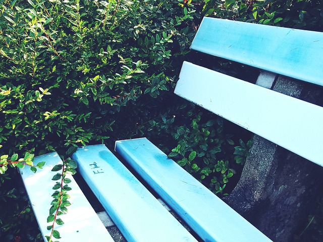 注入了活力 注入了活力