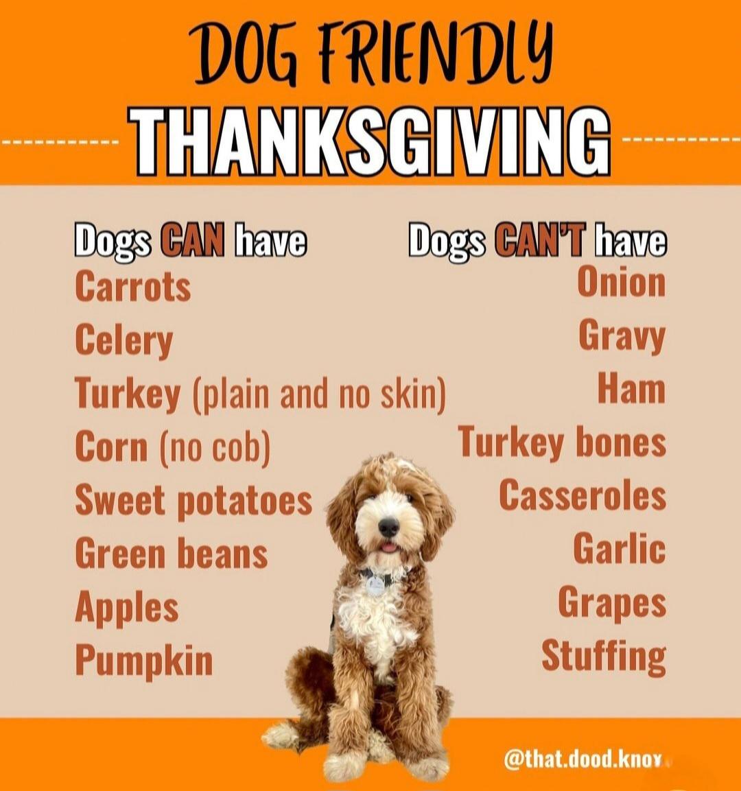 硬的技巧 硬的技巧