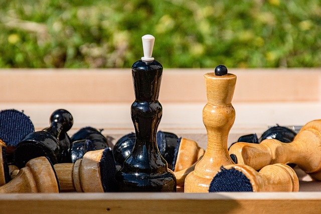 不仅让他学 不仅让他学