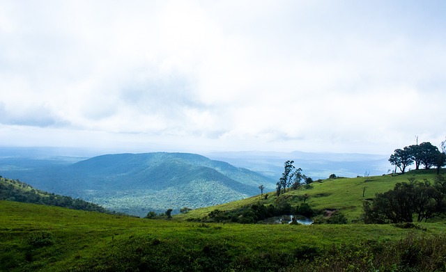 僅限制了戴 僅限制了戴