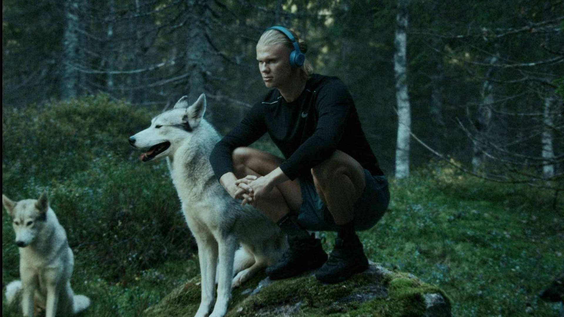 之間不可割 之間不可割