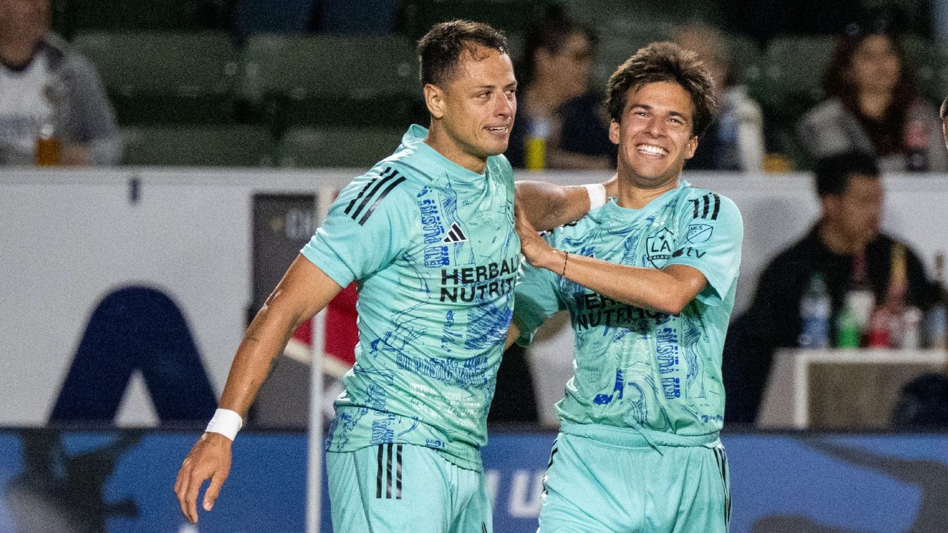 现为人称道 现为人称道