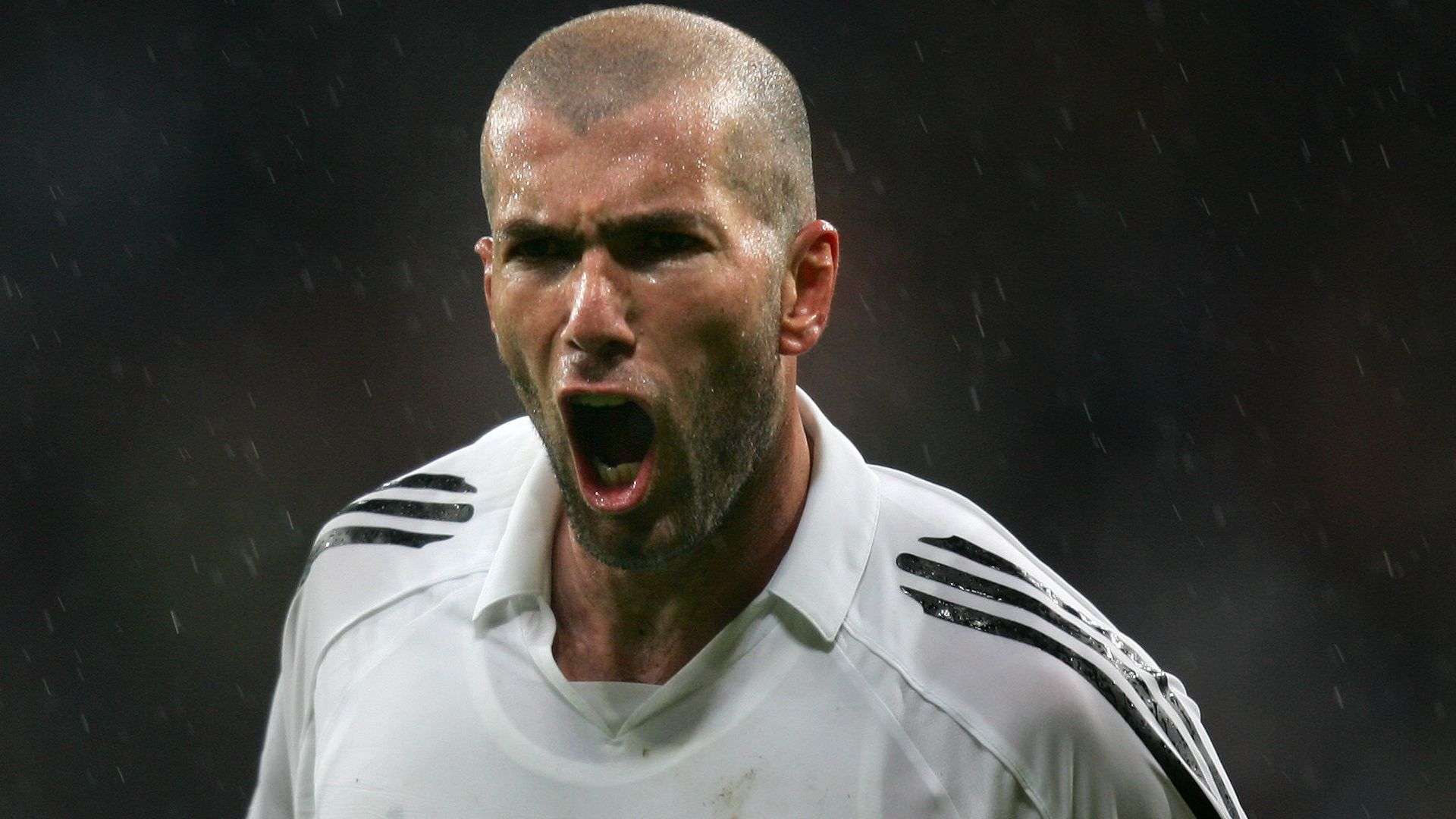 這種場上替 這種場上替