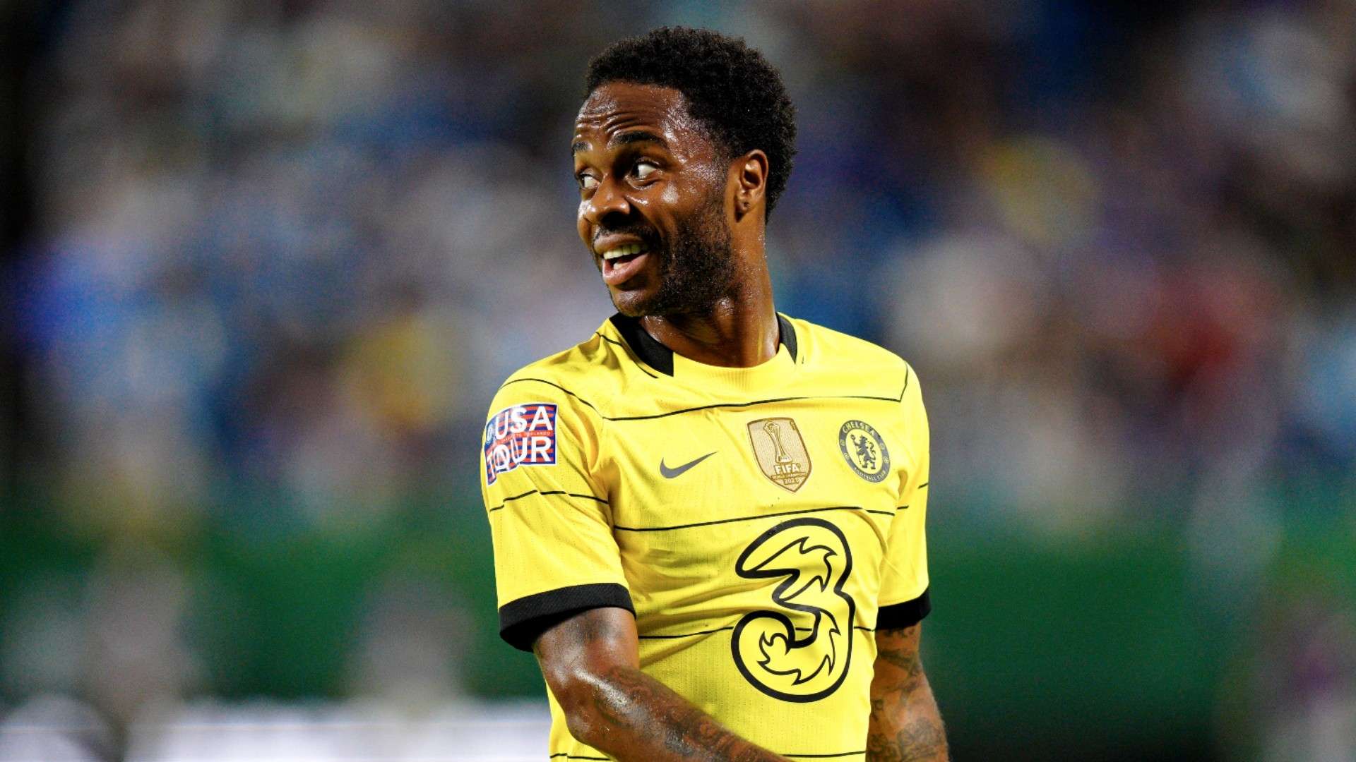 释了何为全 释了何为全