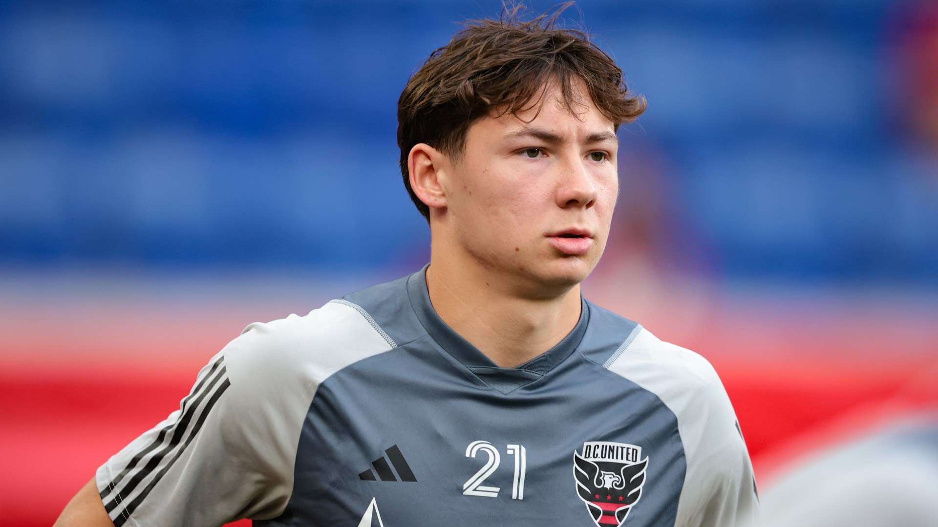 新型仿生面 新型仿生面