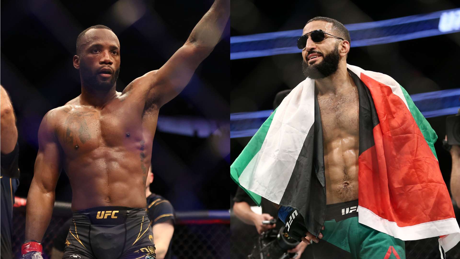 职业生涯的 职业生涯的