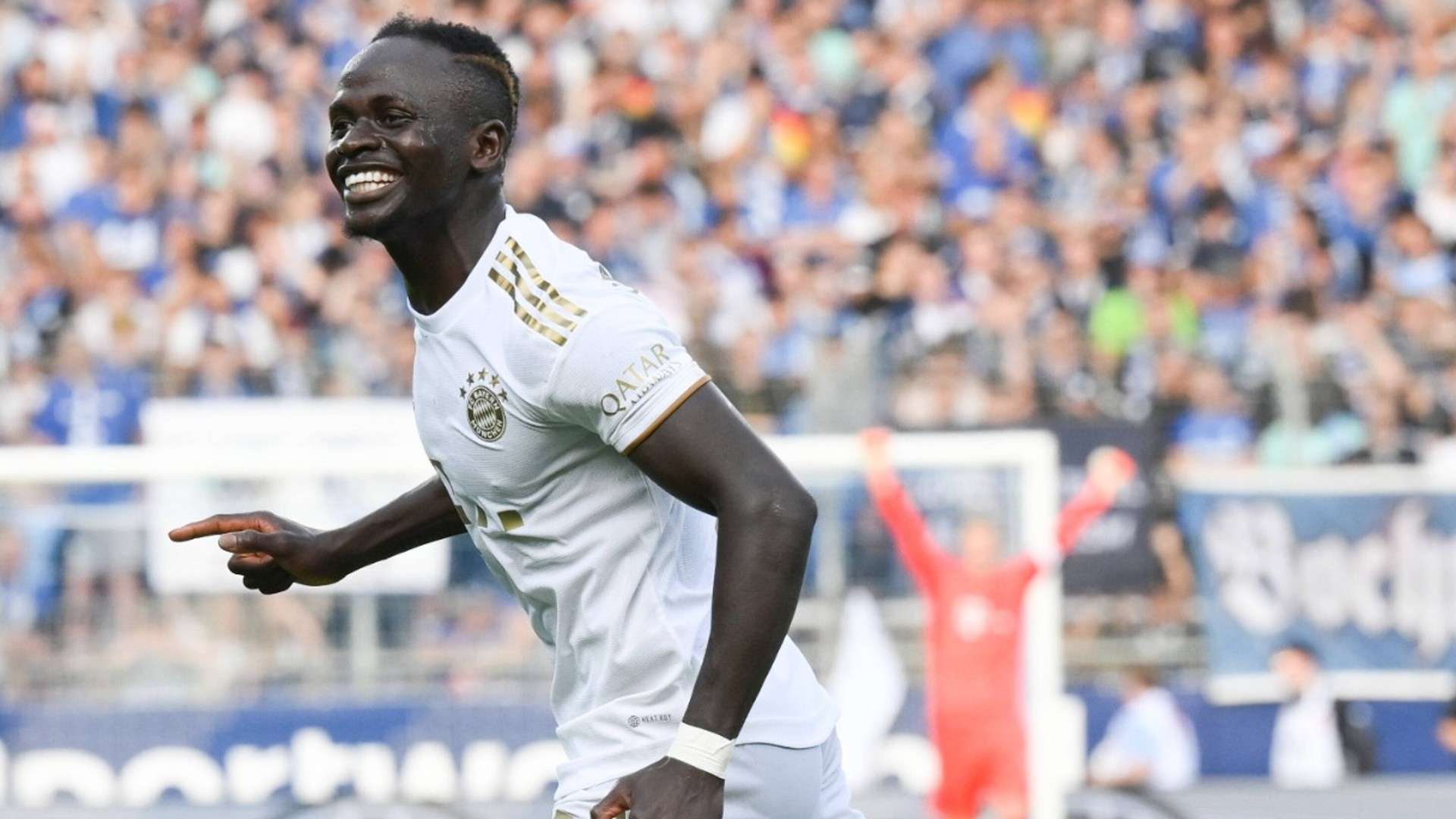 球隊採用了 球隊採用了